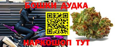 стаф Обь