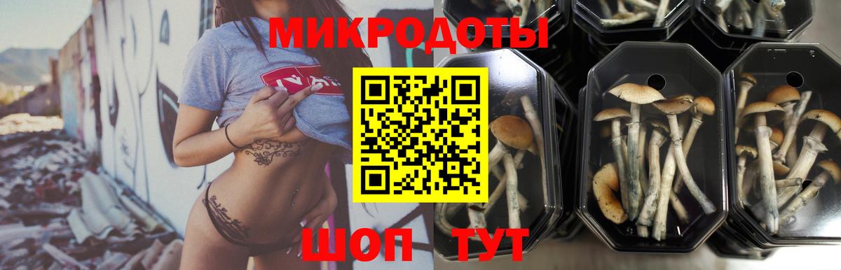 Ртищево  где найти   Вход с VPN  Псилоцибиновые грибы Magic Shrooms 
