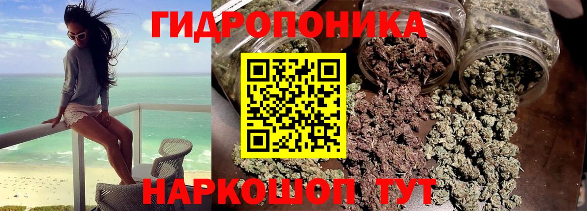 Канабис ГИДРОПОН Ртищево